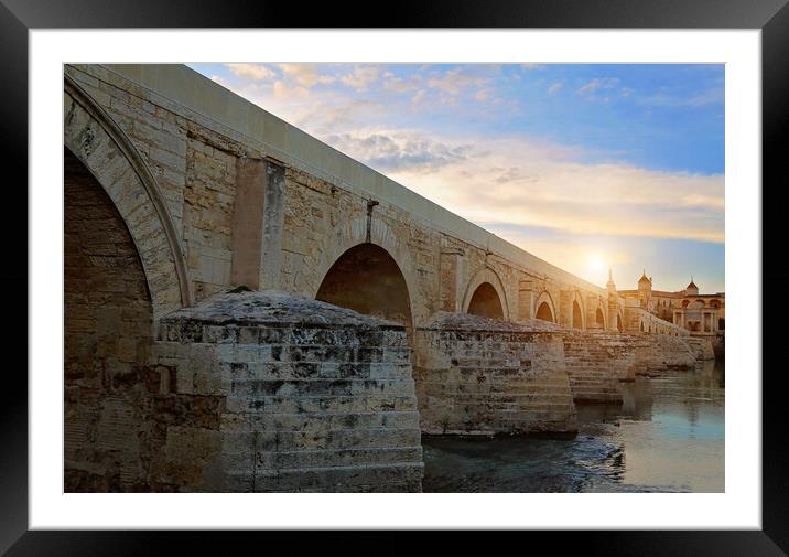 Roman Bridge in the heart of historic part of Cordoba Framed Mounted Print by Elijah Lovkoff