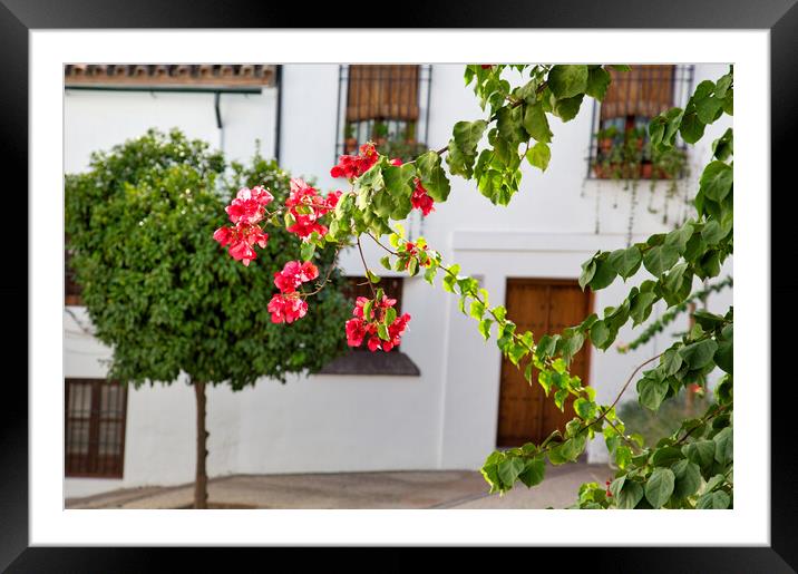 Cordoba streets on a sunny day in historic city center Framed Mounted Print by Elijah Lovkoff