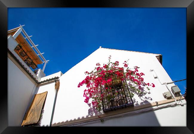 Cordoba streets on a sunny day in historic city center near Mezquita Cathedral Framed Print by Elijah Lovkoff