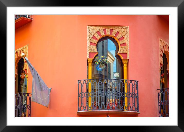 Malaga historic city center and old town streets near Malaga Cat Framed Mounted Print by Elijah Lovkoff