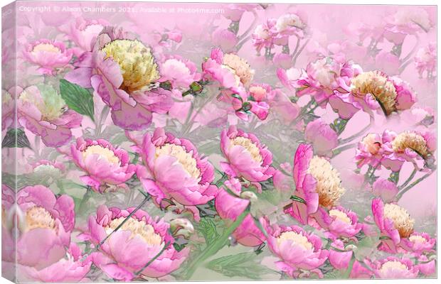 Peony Profusion Canvas Print by Alison Chambers