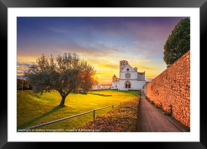 San Francesco Basilica and Olive Tree, Assisi Framed Mounted Print by Stefano Orazzini