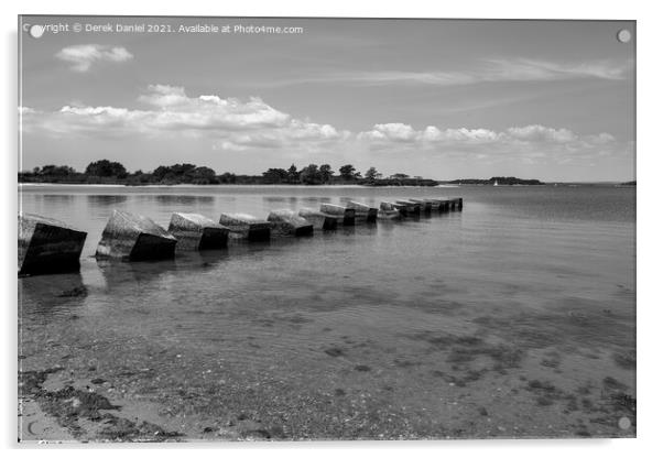 Dragon's Teeth, Bramble Bush Bay (mono) Acrylic by Derek Daniel