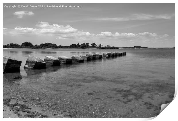 Dragon's Teeth, Bramble Bush Bay (mono) Print by Derek Daniel