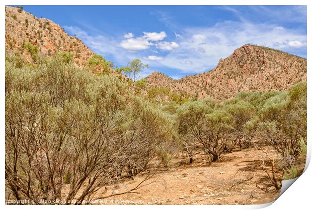 Brachina Gorge - Wilpena Pound Print by Laszlo Konya