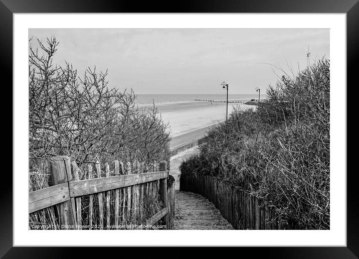 Mablethorpe Lincolnshire in Monochrome Framed Mounted Print by Diana Mower