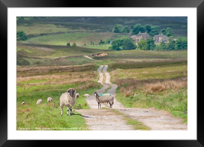 Bronte Country Moorland Framed Mounted Print by Philip Baines