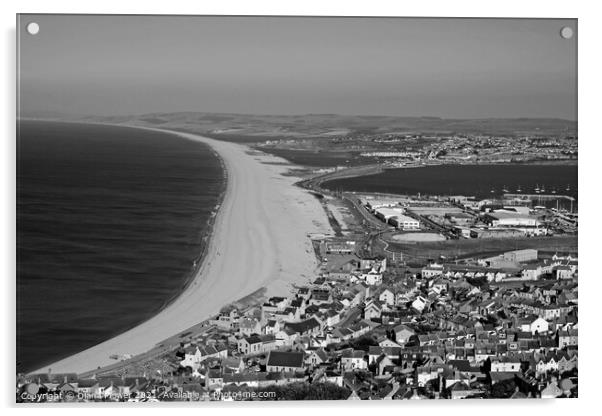 Chesil Beach Dorset in Monochrome Acrylic by Diana Mower