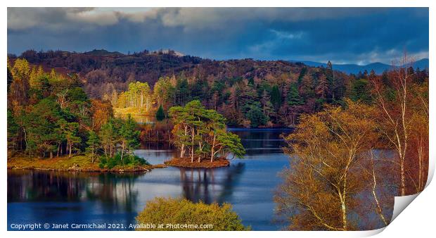 Stunning Autumn Colours at Tarn Hows Print by Janet Carmichael