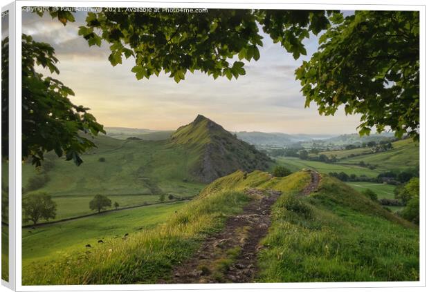Parkhouse Hill Canvas Print by Paul Andrews