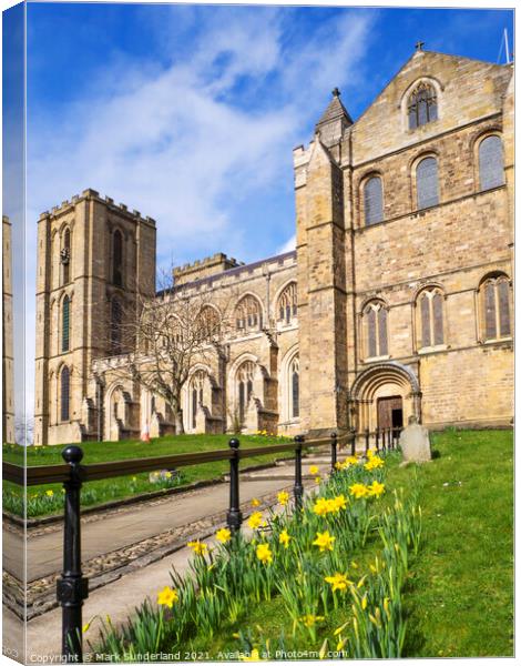 Ripon Cathedral in Spring Canvas Print by Mark Sunderland