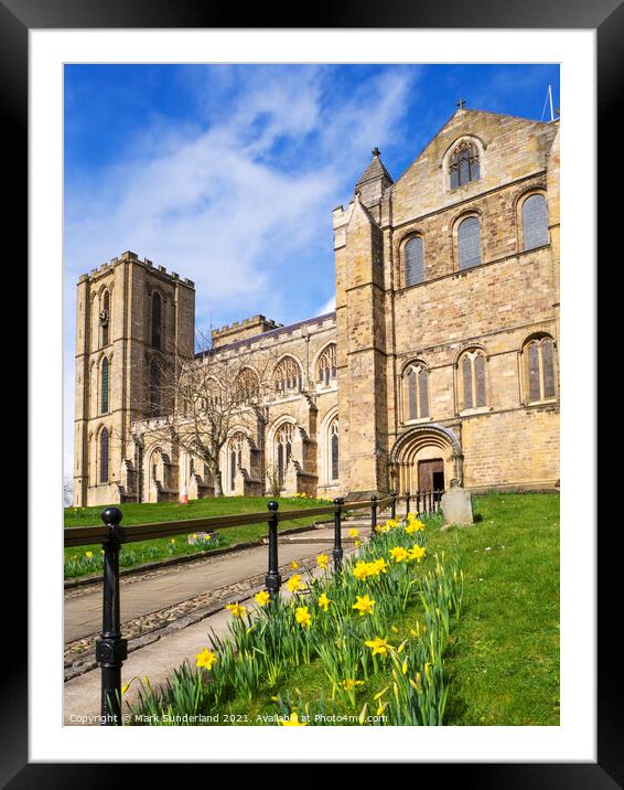 Ripon Cathedral in Spring Framed Mounted Print by Mark Sunderland