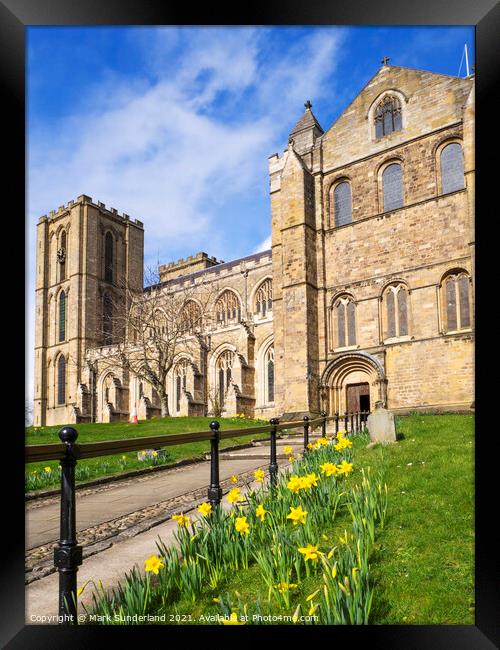Ripon Cathedral in Spring Framed Print by Mark Sunderland
