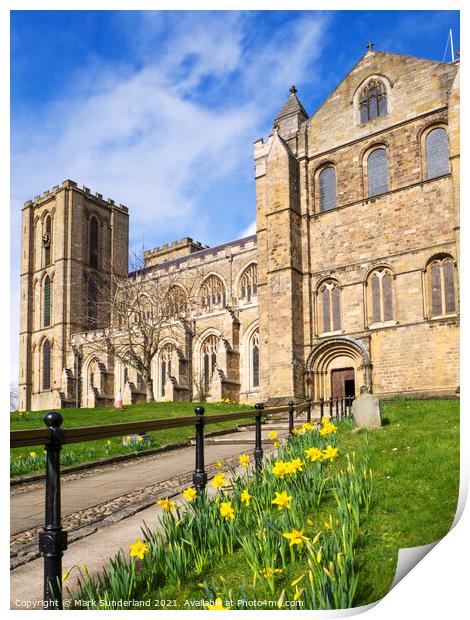 Ripon Cathedral in Spring Print by Mark Sunderland