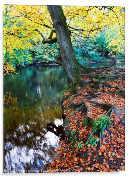 Autumn Tree at Knaresborough Acrylic by Mark Sunderland