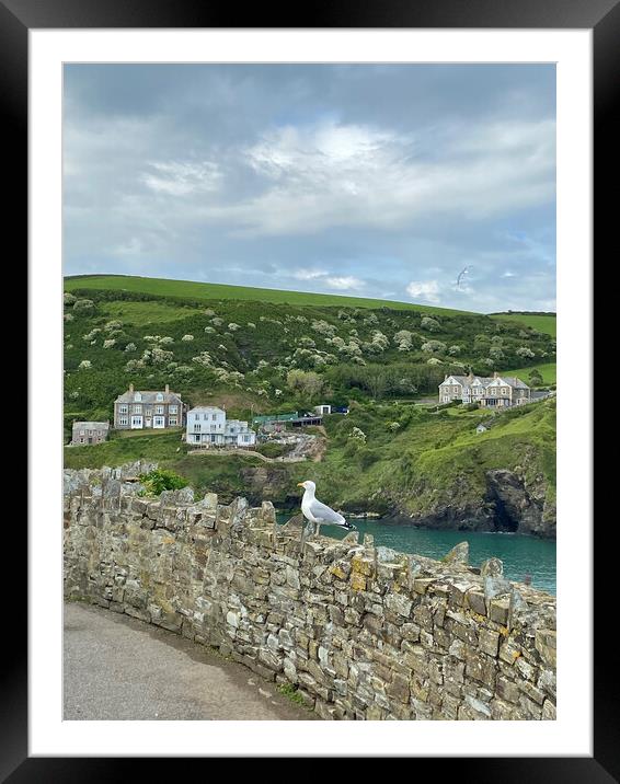 Port Isaac  Framed Mounted Print by Graham Custance