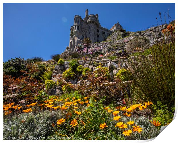 Castle Gardens at St. Michaels Mount in Cornwall, UK Print by Chris Dorney