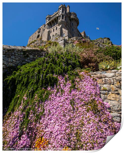 Castle Gardens at St. Michaels Mount in Cornwall,  Print by Chris Dorney