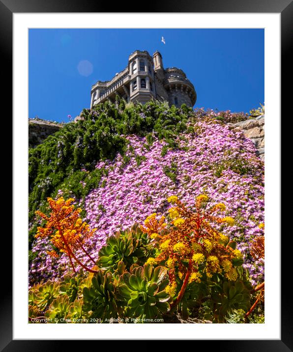 Castle Gardens at St. Michaels Mount in Cornwall,  Framed Mounted Print by Chris Dorney