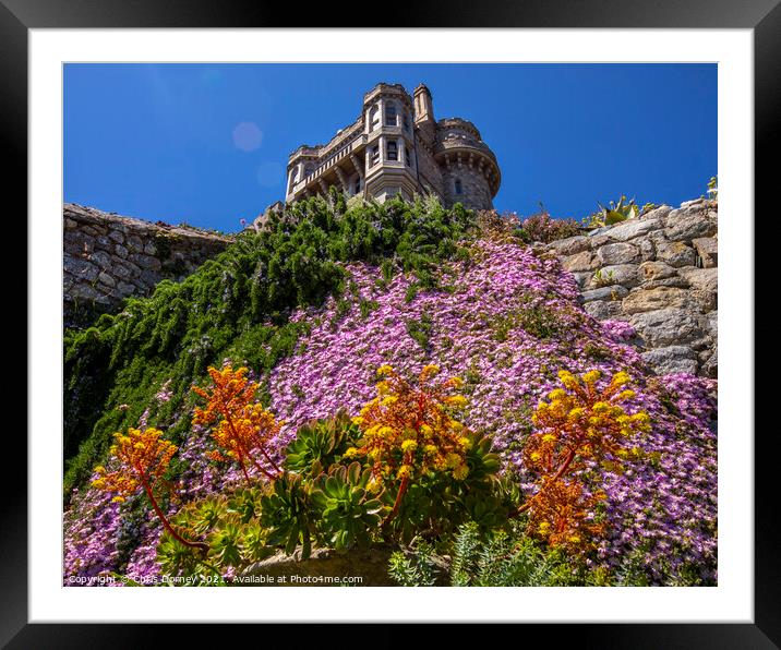 Castle Gardens at St. Michaels Mount in Cornwall,  Framed Mounted Print by Chris Dorney