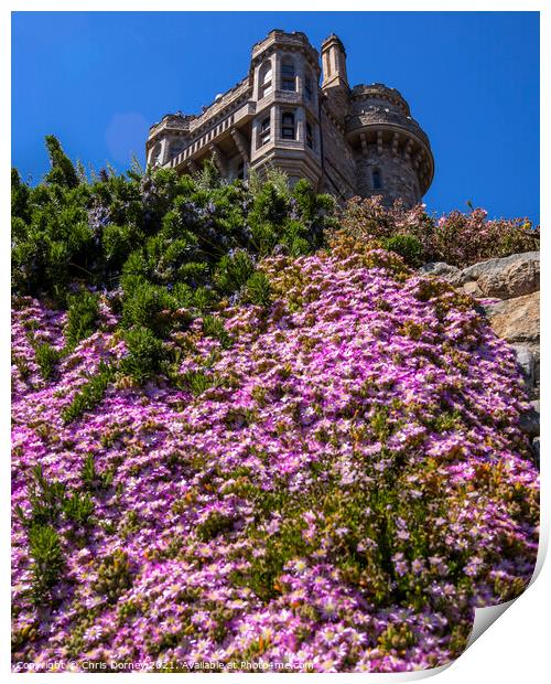 Castle Gardens at St. Michaels Mount in Cornwall,  Print by Chris Dorney