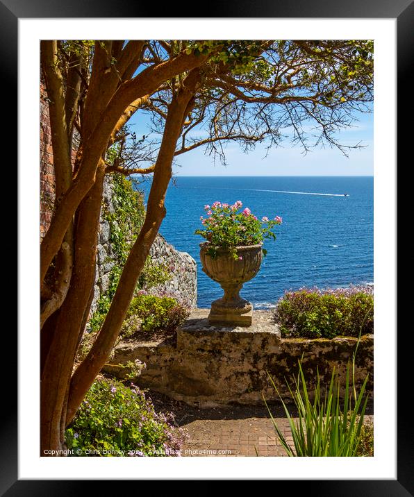 View from the Castle Gardens at St. Michaels Mount in Cornwall Framed Mounted Print by Chris Dorney