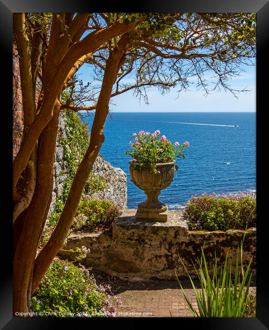 View from the Castle Gardens at St. Michaels Mount in Cornwall Framed Print by Chris Dorney