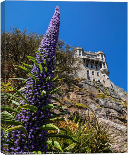 Castle and Gardens at St. Michaels Mount in Cornwall Canvas Print by Chris Dorney