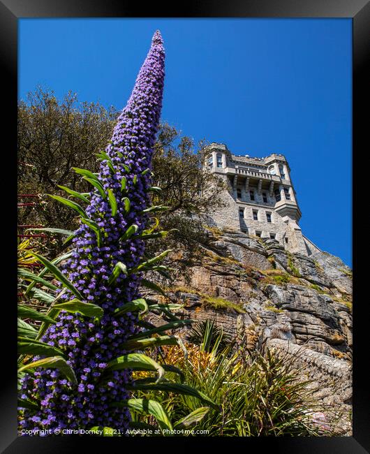 Castle and Gardens at St. Michaels Mount in Cornwall Framed Print by Chris Dorney