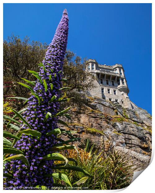 Castle and Gardens at St. Michaels Mount in Cornwall Print by Chris Dorney