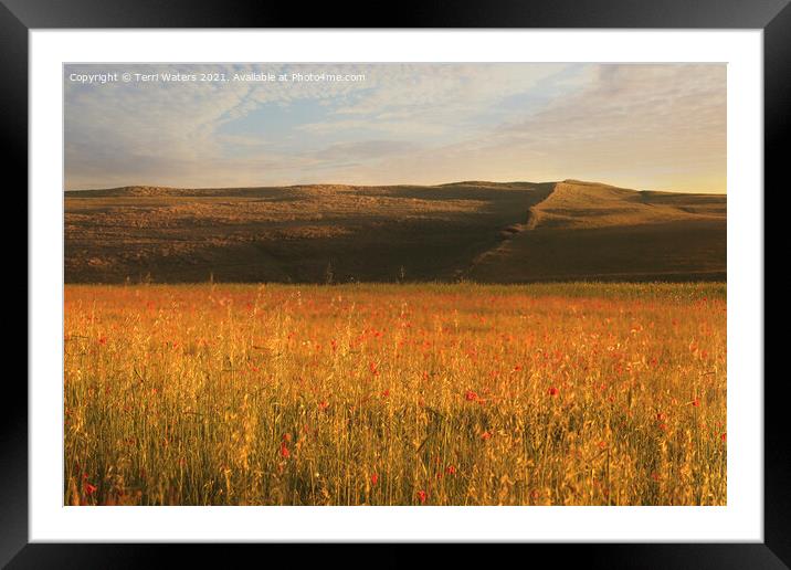 Polly Joke Hills as the Sun Goes Down Framed Mounted Print by Terri Waters