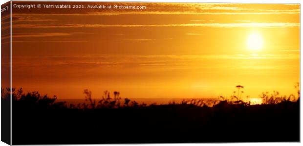 Cornish Sunset Panorama Canvas Print by Terri Waters