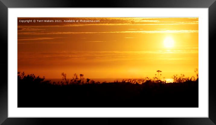 Cornish Sunset Panorama Framed Mounted Print by Terri Waters