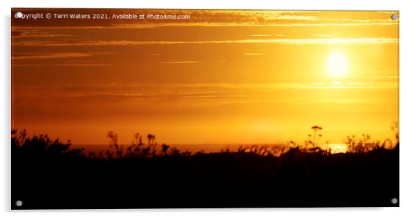 Cornish Sunset Panorama Acrylic by Terri Waters