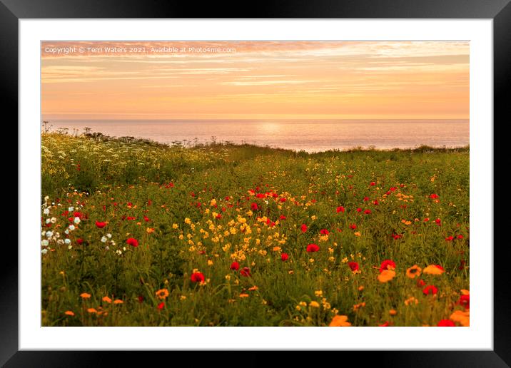 Warm Sunset at the Flower Fields Framed Mounted Print by Terri Waters