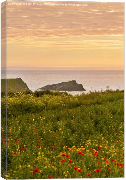 The Chick Island Polly Joke Canvas Print by Terri Waters