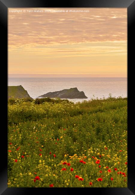 The Chick Island Polly Joke Framed Print by Terri Waters