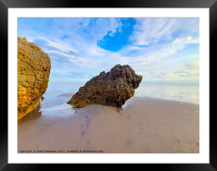 Rocky bird sitting on sand beach and looks to the  Framed Mounted Print by Hanif Setiawan