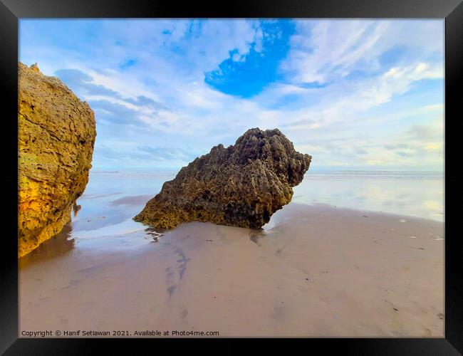 Rocky bird sitting on sand beach and looks to the  Framed Print by Hanif Setiawan