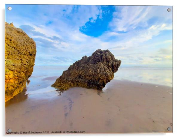 Rocky bird sitting on sand beach and looks to the  Acrylic by Hanif Setiawan