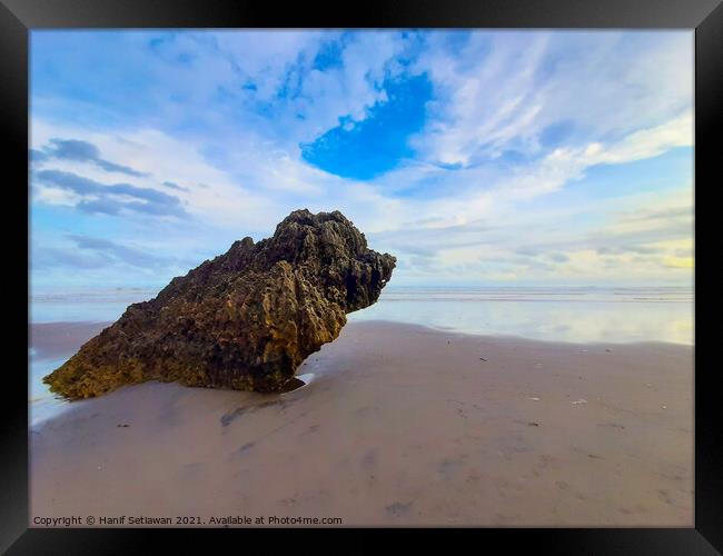 Rocky bird sitting on sand beach and looks to the  Framed Print by Hanif Setiawan