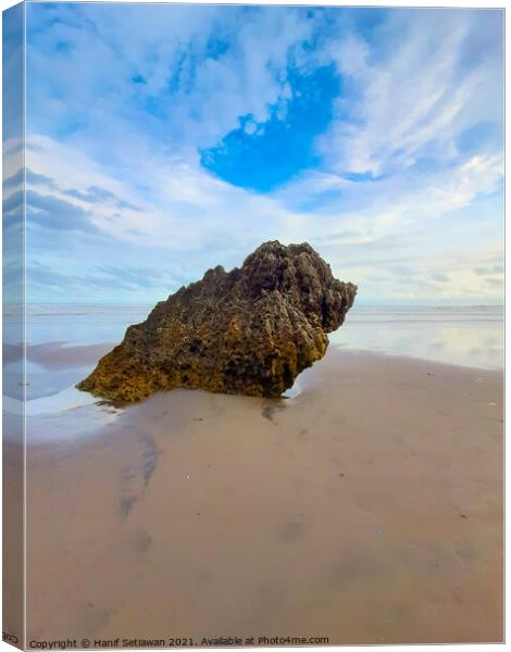 Rocky bird sitting on sand beach and looks to the  Canvas Print by Hanif Setiawan