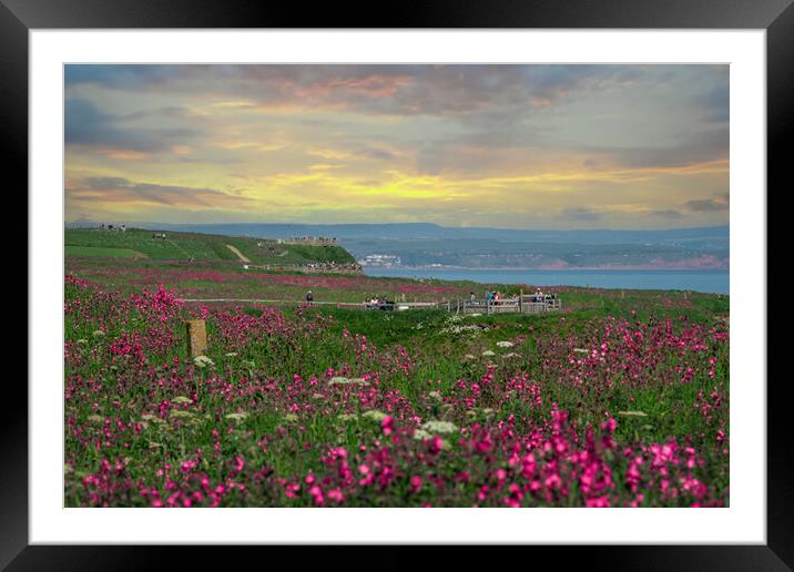 Bempton Cliffs looking towards Filey, Yorkshire Framed Mounted Print by Andrew Scott