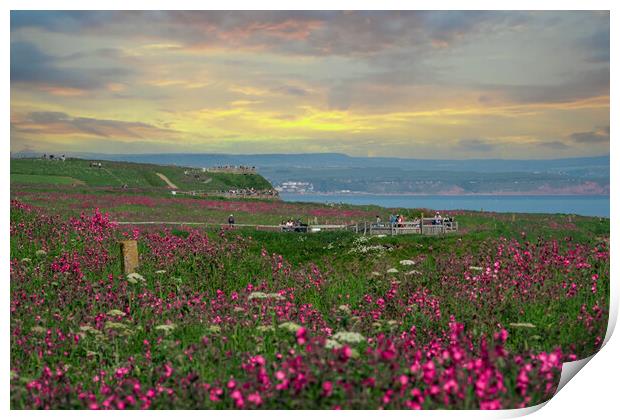 Bempton Cliffs looking towards Filey, Yorkshire Print by Andrew Scott