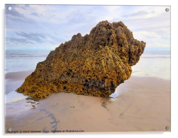 Rocky bird sitting on sand beach and looks to the  Acrylic by Hanif Setiawan