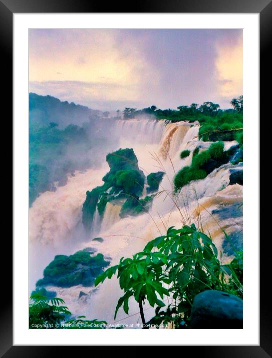 The power of the Iguazu Falls, Brazil Framed Mounted Print by Nathalie Hales