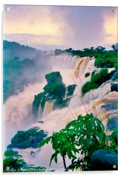 The power of the Iguazu Falls, Brazil Acrylic by Nathalie Hales