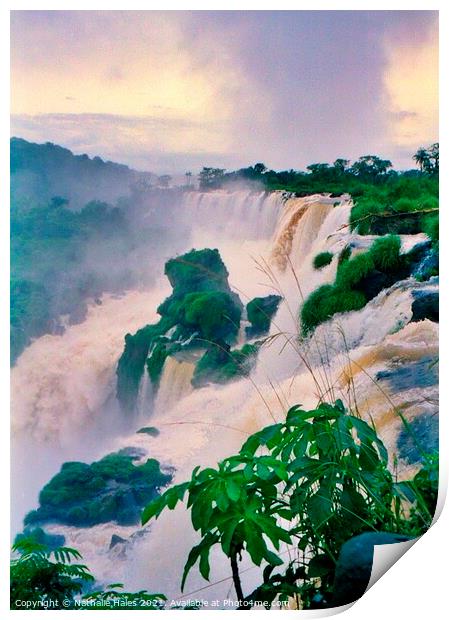 The power of the Iguazu Falls, Brazil Print by Nathalie Hales