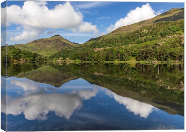 Llyn Gwynant Canvas Print by Rory Trappe