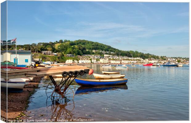 Early morning on Teignmouth Back Beach  Canvas Print by Rosie Spooner